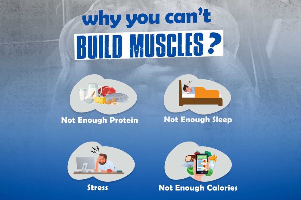 Why you can't build muscles